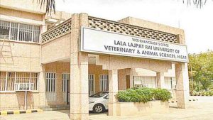 Lala Lajpat Rai University Hisar Vacancy 2023