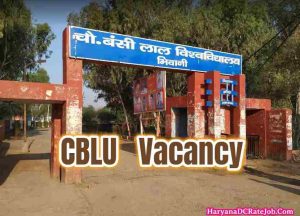 CBLU Bhiwani Vacancy 2023