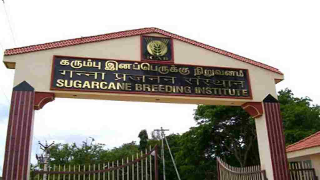 Sugarcane Breeding Institute Haryana Vacancy 2023