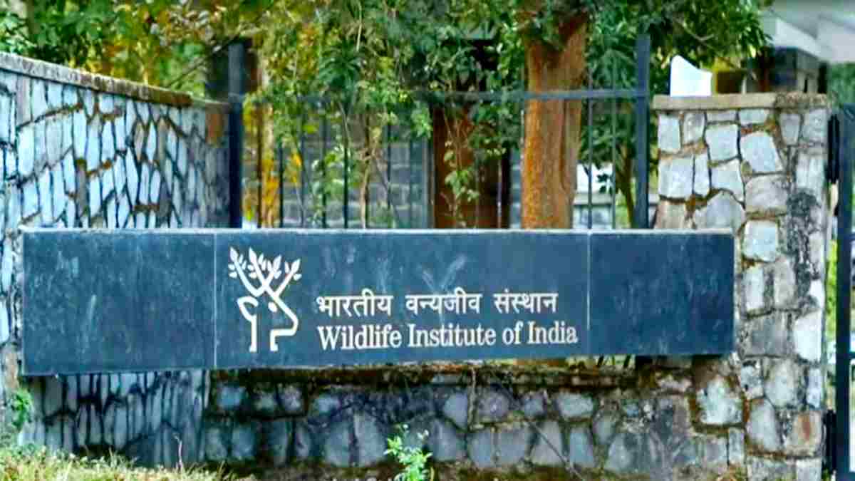 Wildlife Institute Dehradun Vacancy 2023